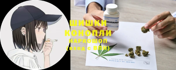 стафф Бронницы